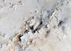 Mineral Drift