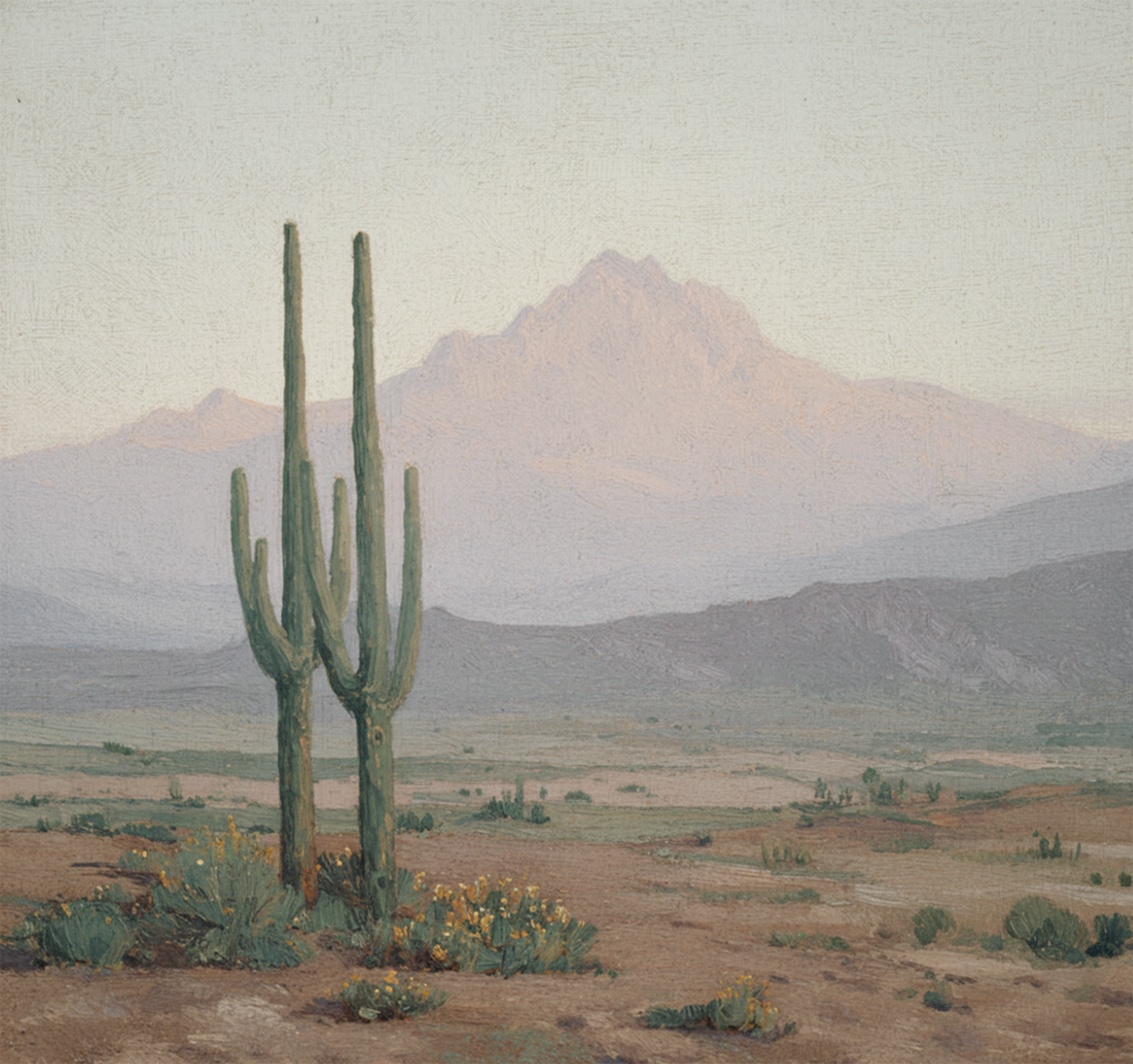 Desert Stillness
