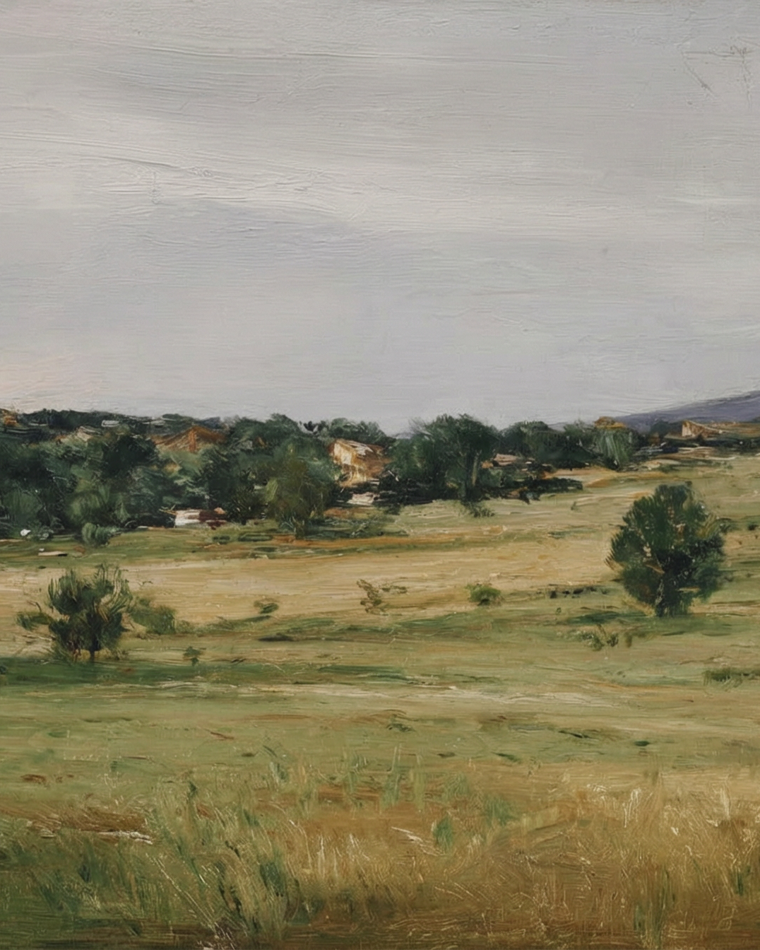 Still Meadow