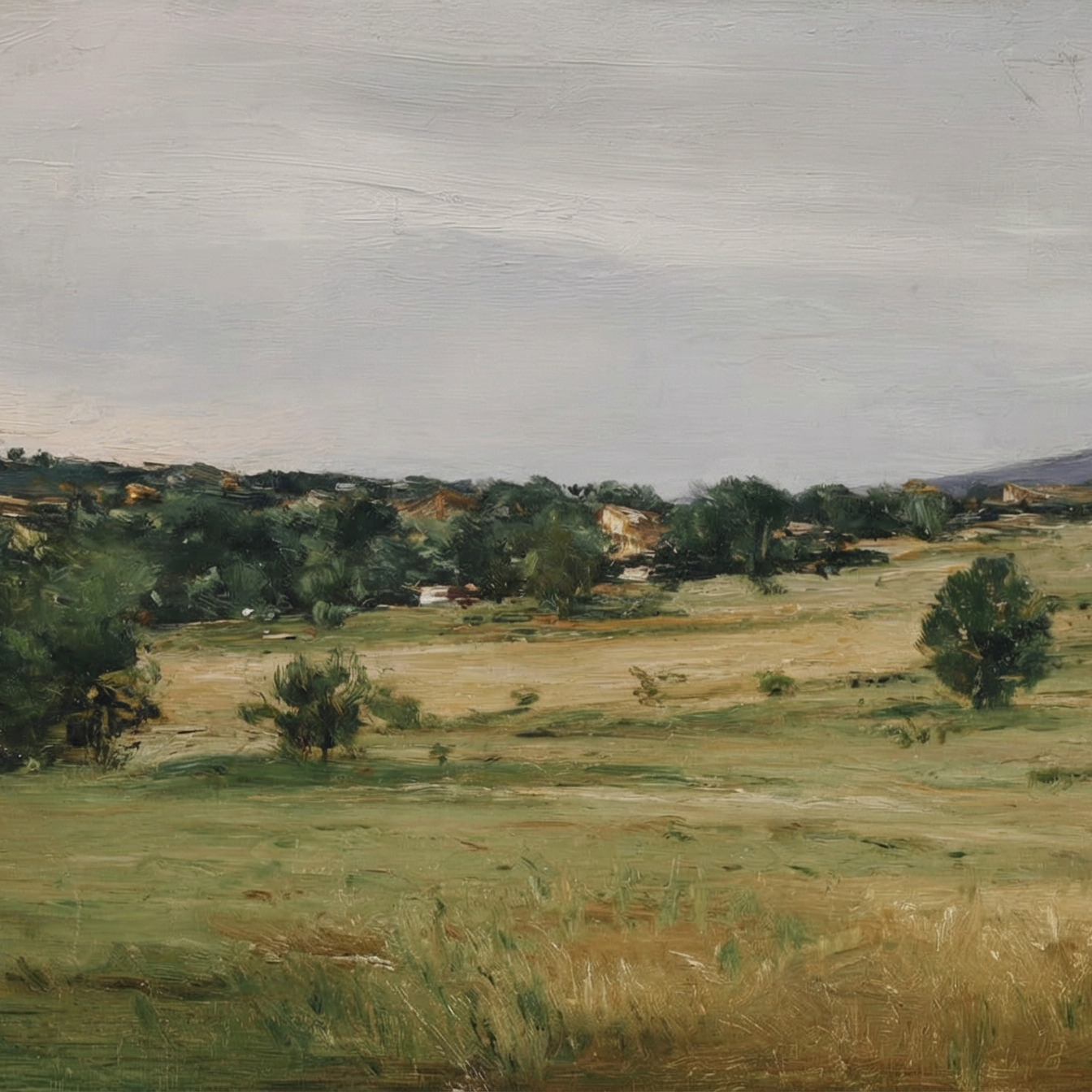 Still Meadow