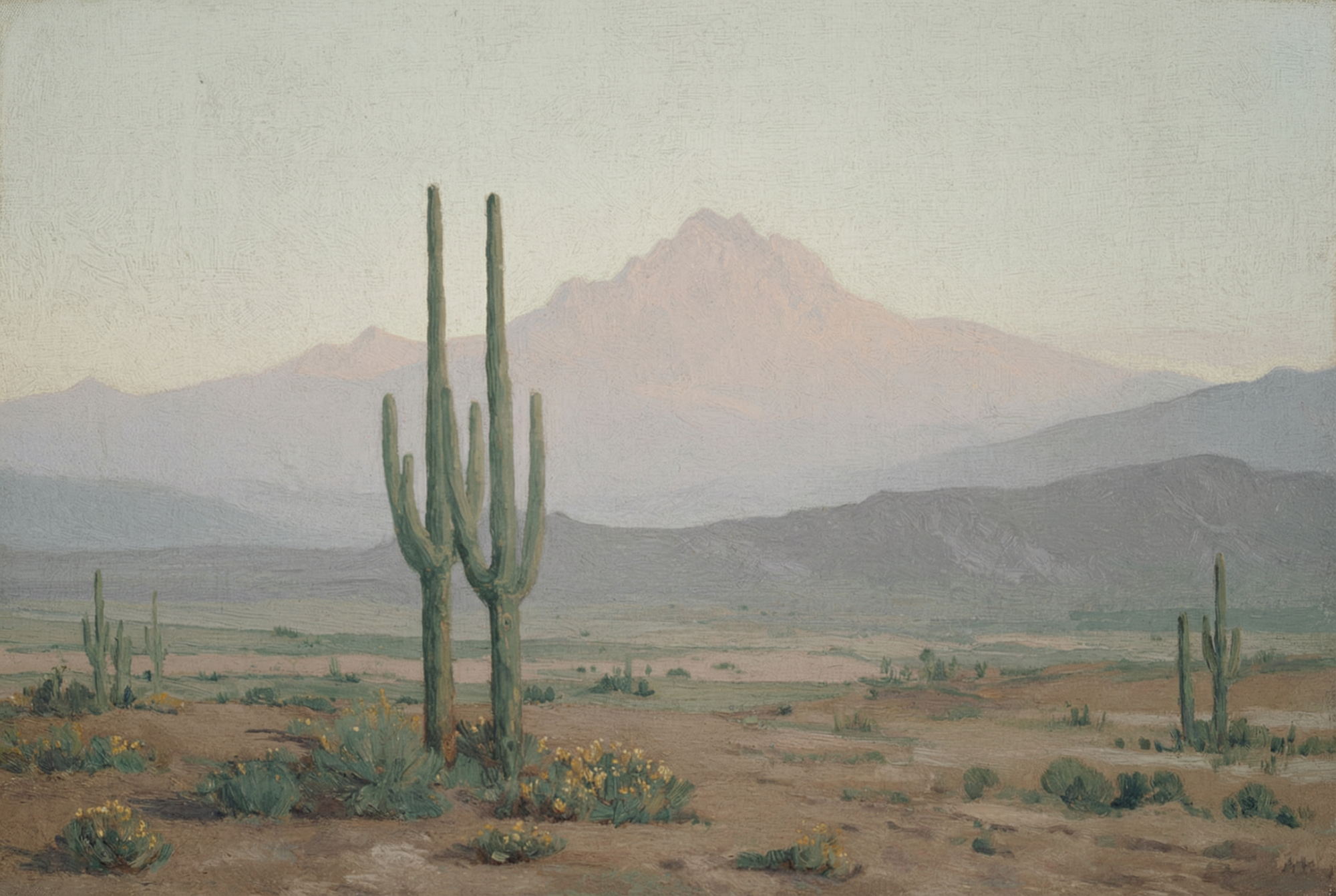 Desert Stillness