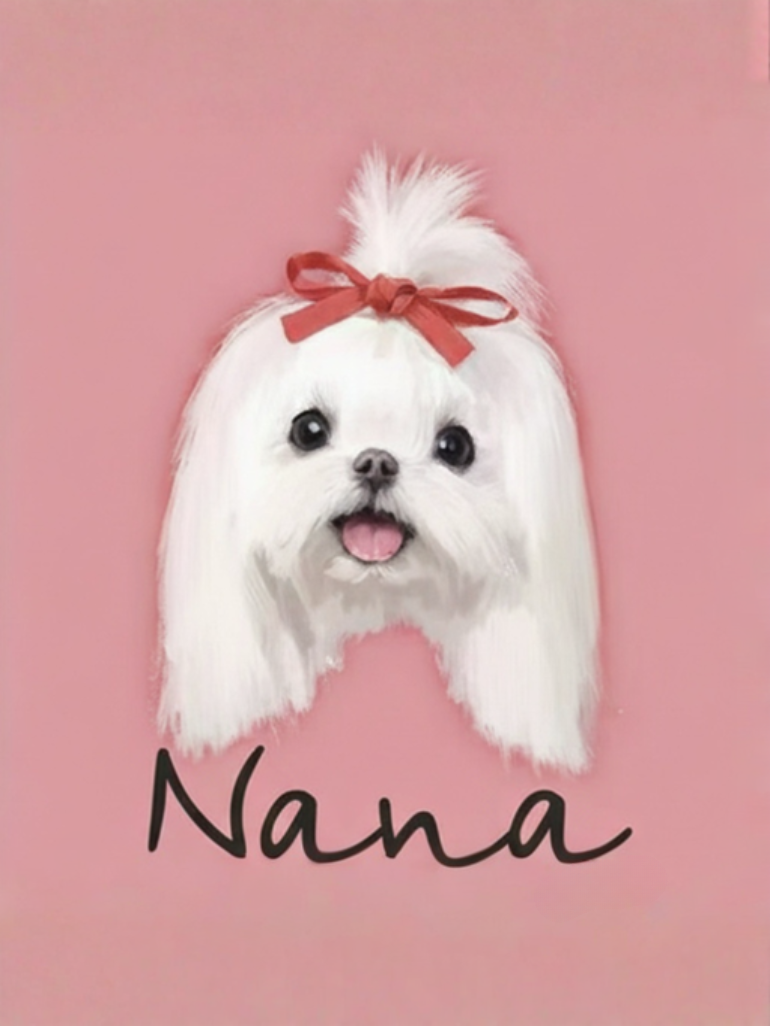 Personalised Pet Painting